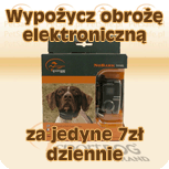 obroże elektryczne, obroże antyszczekowe, niewidoczne ogrodzenia